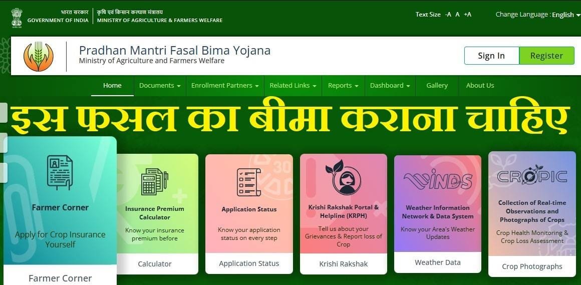 Which Crop Should Be Insured In 2025: किस फसल का बीमा कराना चाहिए, जौ, चना, कनक, सरसों, जाना किस फसल का बीमा आएगा